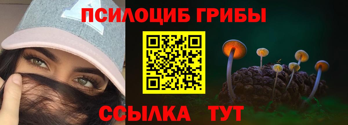Галлюциногенные грибы Psilocybe  Вход с VPN  Галлюциногенные грибы мицелий  Верхняя Пышма 